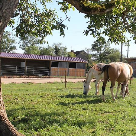 Bonnay  Chezcaro26ヴィラ エクステリア 写真